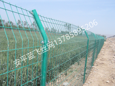 雙邊護(hù)欄網(wǎng)-5.jpg