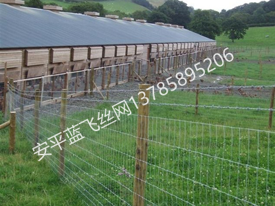 牧場(chǎng)護(hù)欄網(wǎng)-1.jpg